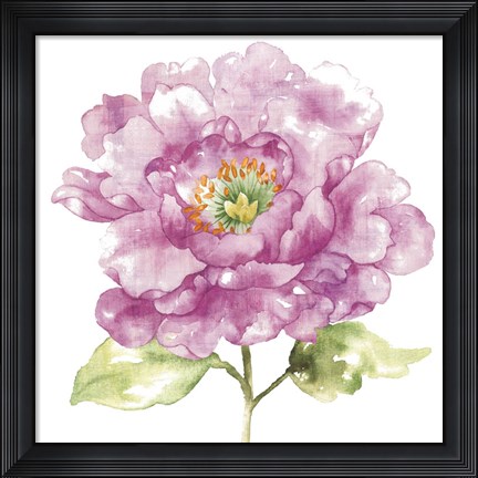 Framed Water Flower I Print