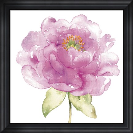 Framed Water Flower II Print