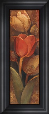 Framed Tulip Shadow II Print