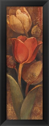 Framed Tulip Shadow II Print