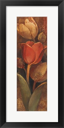 Framed Tulip Shadow II Print