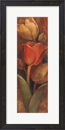 Framed Tulip Shadow II Print