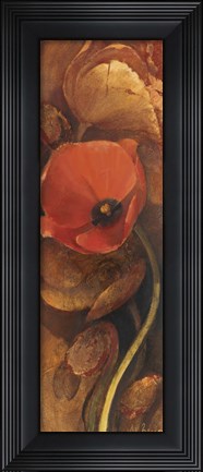 Framed Tulip Shadow III Print