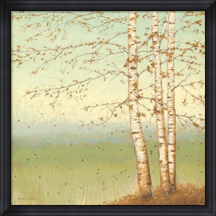 Framed Golden Birch II with Blue Sky Print