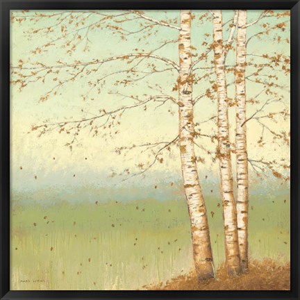 Framed Golden Birch II with Blue Sky Print