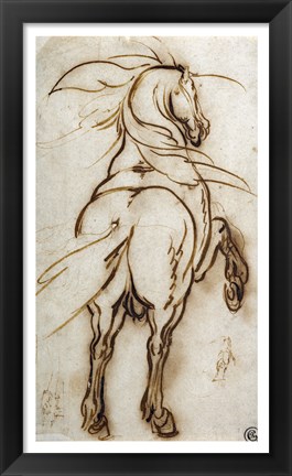 Framed Study of a Rearing Horse Print