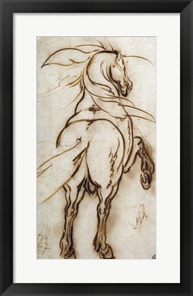 Framed Study of a Rearing Horse Print