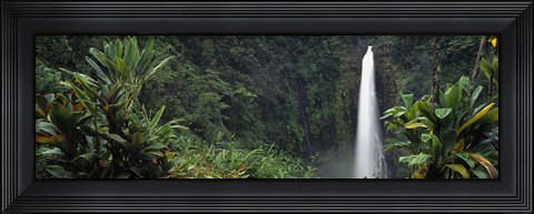 Framed Akaka Falls State Park, Hawaii, USA Print