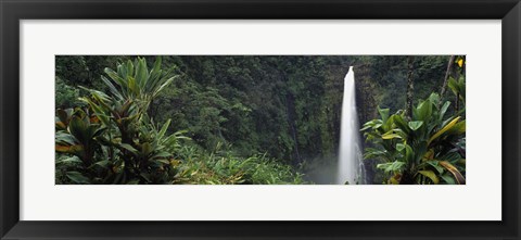 Framed Akaka Falls State Park, Hawaii, USA Print