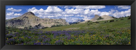 Framed USA, Wyoming, Grand Teton Park Print