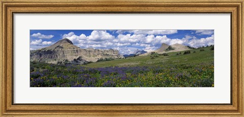 Framed USA, Wyoming, Grand Teton Park Print