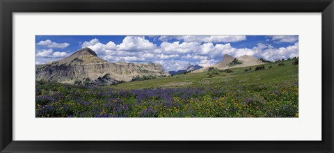 Framed USA, Wyoming, Grand Teton Park Print