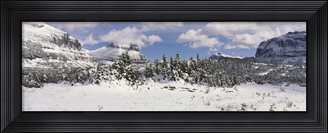 Framed Mountains with trees in winter, Logan Pass, US Glacier National Park, Montana, USA Print