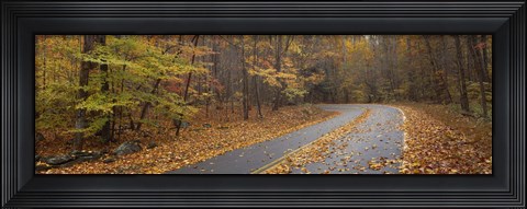 Framed Road passing through autumn forest, Great Smoky Mountains National Park, Cherokee, North Carolina, USA Print