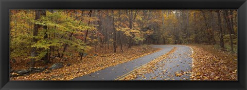 Framed Road passing through autumn forest, Great Smoky Mountains National Park, Cherokee, North Carolina, USA Print