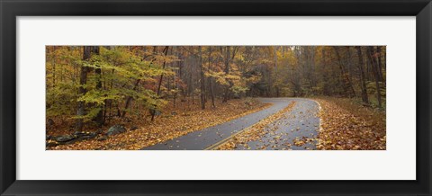 Framed Road passing through autumn forest, Great Smoky Mountains National Park, Cherokee, North Carolina, USA Print