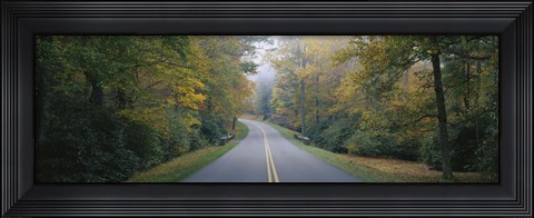 Framed Trees along a road, Blue Ridge Parkway, North Carolina, USA Print