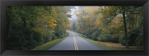 Framed Trees along a road, Blue Ridge Parkway, North Carolina, USA Print