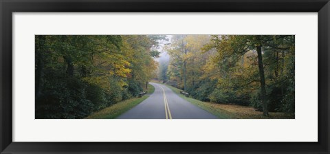 Framed Trees along a road, Blue Ridge Parkway, North Carolina, USA Print