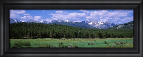 Framed Beaver Meadows Rocky Mountain National Park CO USA Print