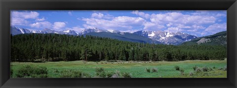 Framed Beaver Meadows Rocky Mountain National Park CO USA Print