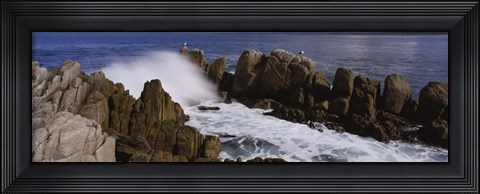 Framed Rock formations in water, Pebble Beach, California, USA Print