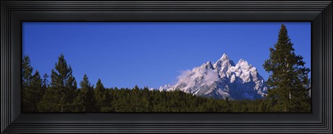 Framed Trees in a forest with snow covered mountains in the background, Grand Teton National Park, Wyoming, USA Print