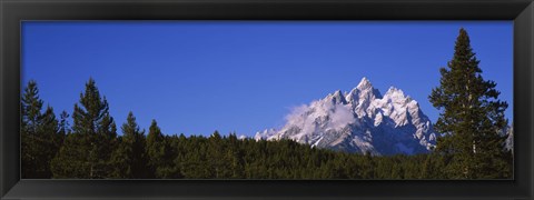Framed Trees in a forest with snow covered mountains in the background, Grand Teton National Park, Wyoming, USA Print