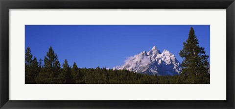 Framed Trees in a forest with snow covered mountains in the background, Grand Teton National Park, Wyoming, USA Print