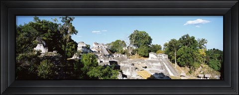Framed Old Temple In The Forest, Tikal, Guatemala Print
