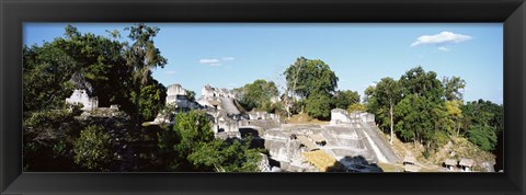 Framed Old Temple In The Forest, Tikal, Guatemala Print