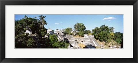 Framed Old Temple In The Forest, Tikal, Guatemala Print