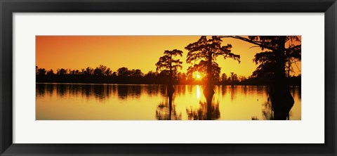 Framed Cypress trees at sunset, Horseshoe Lake Conservation Area, Alexander County, Illinois, USA Print