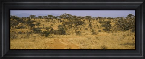 Framed Trees on a landscape, Samburu National Reserve, Kenya Print