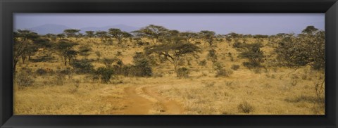 Framed Trees on a landscape, Samburu National Reserve, Kenya Print