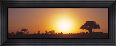 Framed Sunset, Tarangire, Tanzania, Africa Print