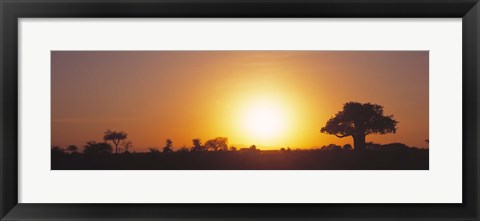 Framed Sunset, Tarangire, Tanzania, Africa Print