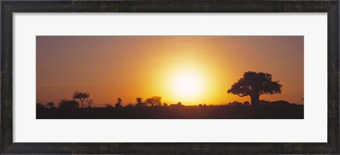 Framed Sunset, Tarangire, Tanzania, Africa Print