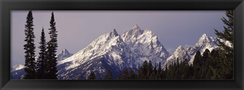 Framed Cathedral Group Mountains, Grand Teton National Park, Wyoming Print