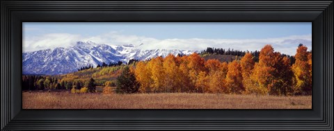 Framed Autumn Grand Teton National Park WY Print