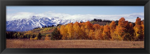 Framed Autumn Grand Teton National Park WY Print