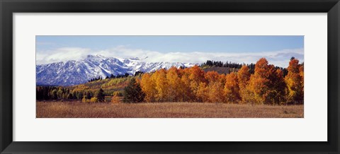 Framed Autumn Grand Teton National Park WY Print