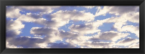 Framed Low angle view of clouds Print