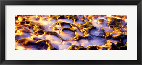 Framed High angle view of a surf on rock formation, Wind and Sea Beach, La Jolla, California, USA Print