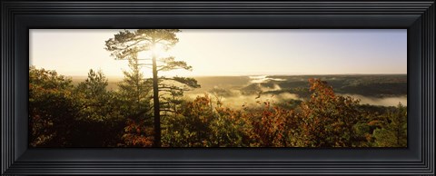 Framed Forest in autumn at sunset, Ottawa National Forest, Upper Peninsula, Michigan, USA Print