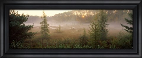 Framed Forest, Northern Highland-American Legion State Forest, Vilas County, Wisconsin, USA Print