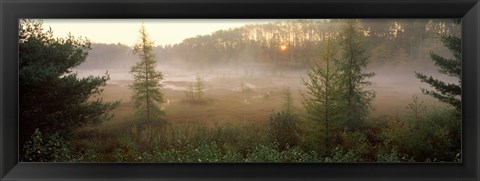 Framed Forest, Northern Highland-American Legion State Forest, Vilas County, Wisconsin, USA Print