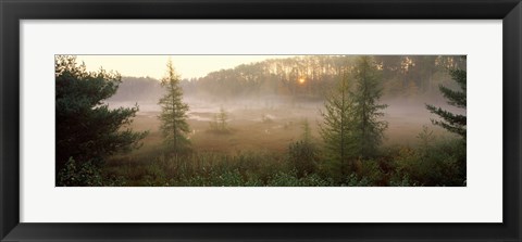 Framed Forest, Northern Highland-American Legion State Forest, Vilas County, Wisconsin, USA Print