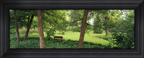 Framed Trees in a park, Adams Park, Wheaton, Illinois, USA Print