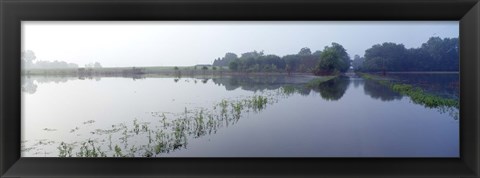 Framed Standing floodwater, Mississippi River, Illinois, USA Print